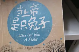 《当上帝是只兔子》读书分享图片