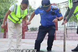 开学倒计时，武汉江夏城管开启“护学模式”图片