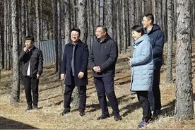 国家林草局三北工程专班指导组到黑龙江省调研图片