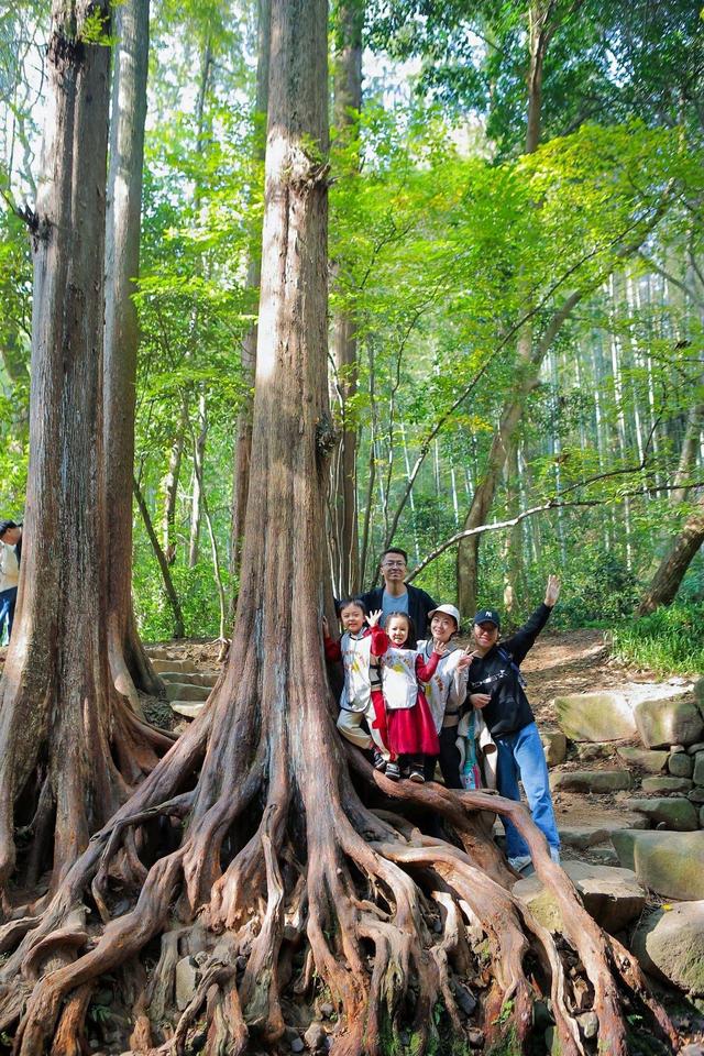 60组家庭从九溪开启“美好的一天”，