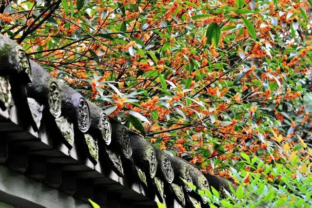 用“考古”的方式打开新都~