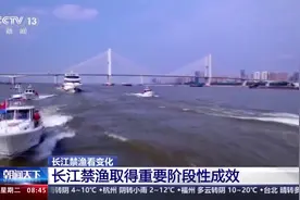长江十年禁渔启动以来，水生生物多样性发生了怎样的变化？图片