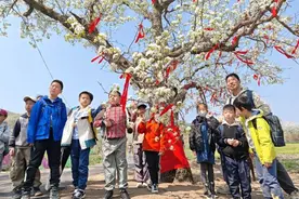 抚顺县以花为媒  释放“春日经济”新活力图片