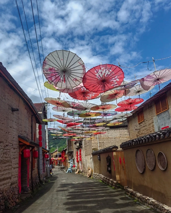 莲都这两条线路，省里重点关注！