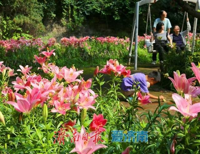 红叶谷初秋风光正好 免票活动持续至月底