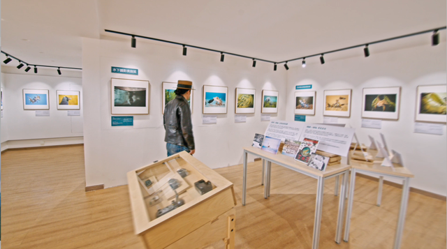 影像展、歌唱比赛、文化艺术节……大理州12月文旅活动精彩纷呈