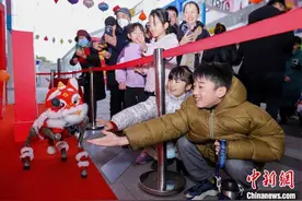 （新春走基层）浙江杭州：机器人与机器狗“大闹”元宵图片