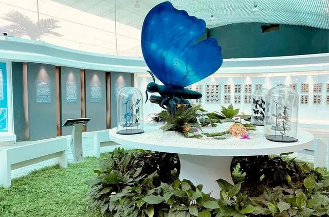 太美了！去北京这里赏“漫山红叶”｜周末京郊微度假