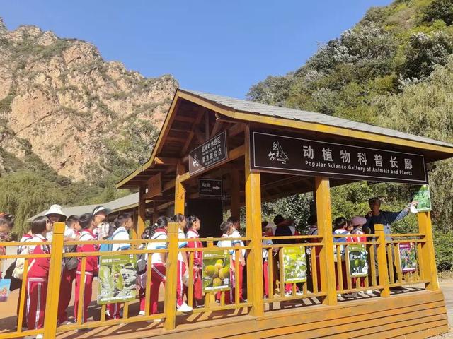 【游蓟攻略】研学课堂探秘梨木台