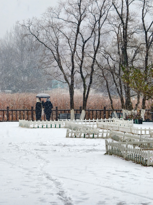 看！徐州最美雪照，每张都可做屏保！