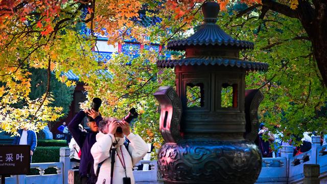 当香山红叶节邂逅重阳节，三条“银发路线”暖心上线