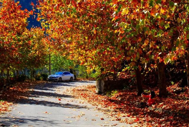 藏不住了！来渔洞水库邂逅初冬限定美景