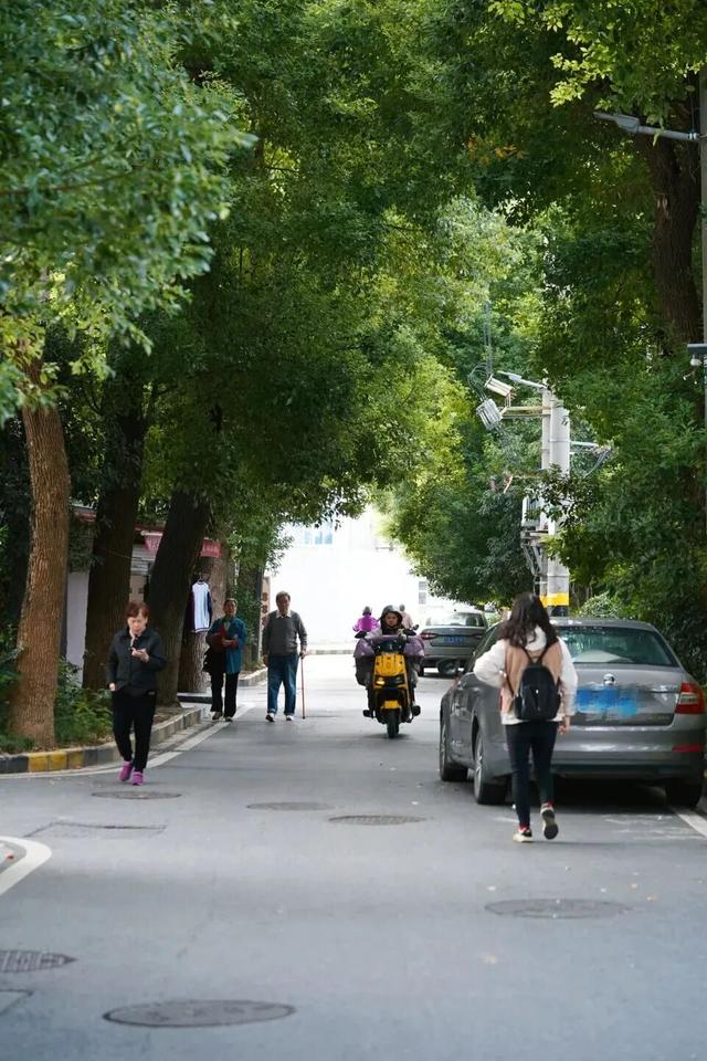 上马墩：好胖人的一条街