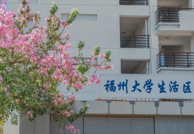 闽侯异木棉全盛登场！是谁的大学这么浪漫呀？