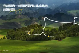 穿越绿海 去往心中的阿勒泰 自驾新疆推荐这十条精品线路→图片