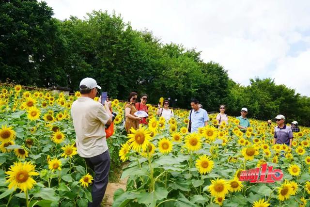 一大波“上新”！福州这一幕幕，太惊艳！不少人直呼“太好拍了”