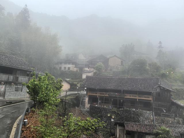 写点生活｜雨中小佐，别一番的春韵绵长
