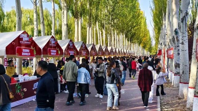 超百万人次打卡！银川市凤凰公园迸发新活力