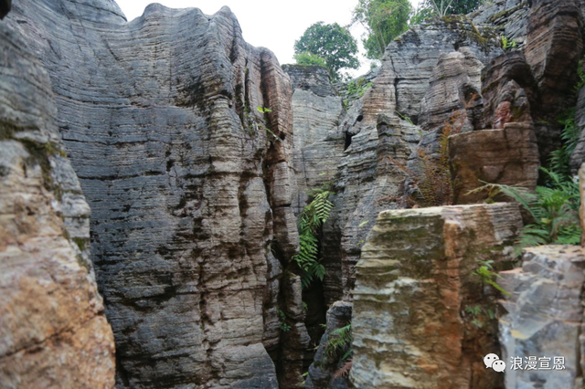 十年之约 | 全国民辅警及家属免费游宣恩矅天眼！