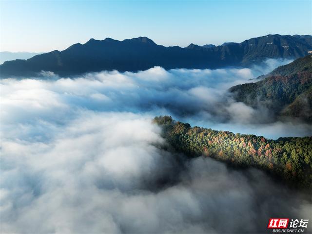 岁暖时刻丨张家界垭门关：云海翻涌时，哪座山的景色最让你心动？