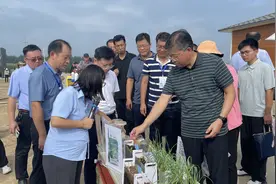 青岛：智慧滴灌促节水助增粮图片