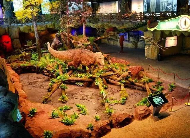 知识+100，快乐+100