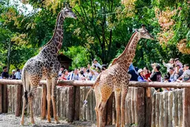 国家4A级景区，武汉＋2图片