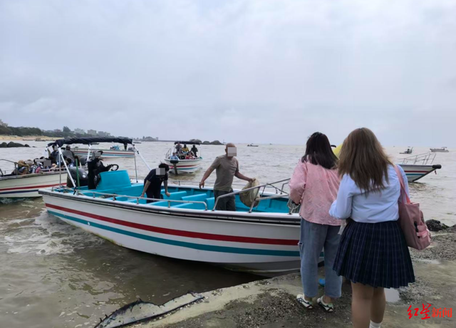 广西钦州三娘湾 “出海观豚” 乱象：十余艘船围堵，小海豚遭追后死亡，有船长称看不到退票，怕亏钱不停追