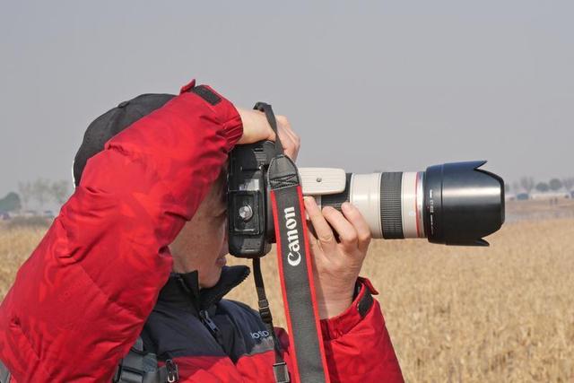 市民自驾打卡“天鹅湿地”