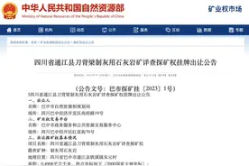 矿权推介丨矿业权招拍挂出让公告信息（第二十五期）图片