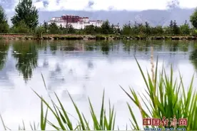 十年造林200万亩 拉萨打造生态宜居高原城市图片