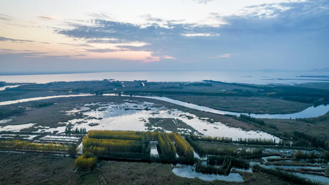 荣耀时刻！东平湖文旅集团荣膺“2025年中国文旅运营标杆企业”