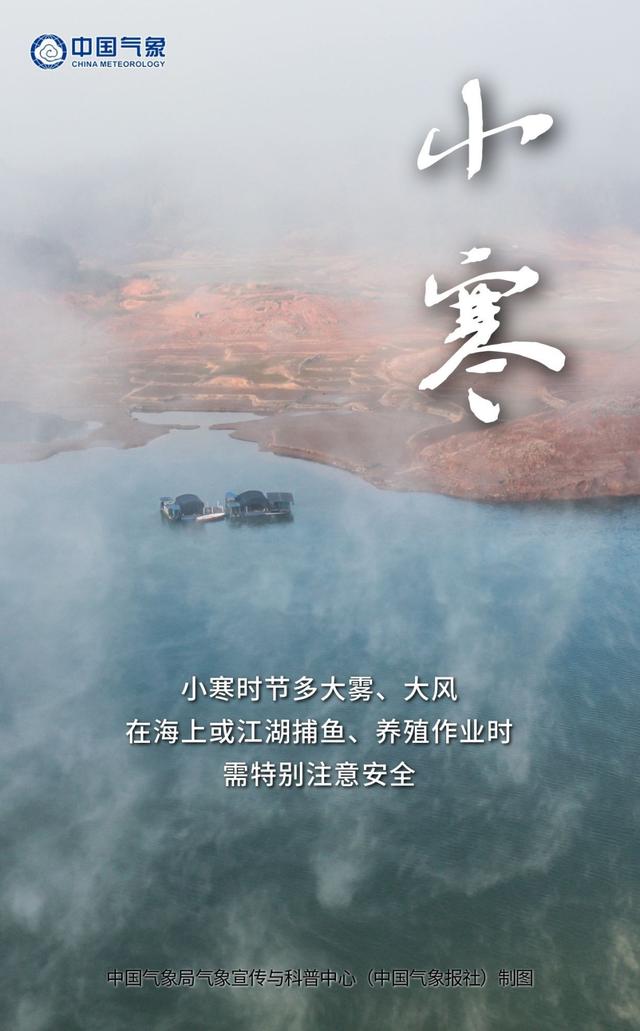 琼枝玉树 小寒时至丨大美中国