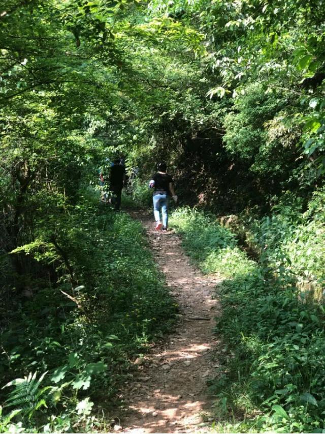 灵川宝藏地，私藏了最诗意的秋天