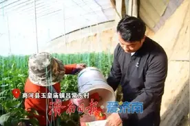 青年人返乡“接棒”  奏响增收“椒”响曲图片
