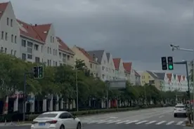 夏令行动｜上海这座远郊小镇买菜远、如厕难，居民盼补齐生活配套“短板”图片