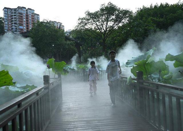 江北石门公园：雾森系统造清凉之境 荷花池畔“仙气”十足