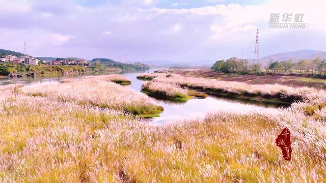 千城百县看中国｜湖南隆回：芦花摇曳赧水美