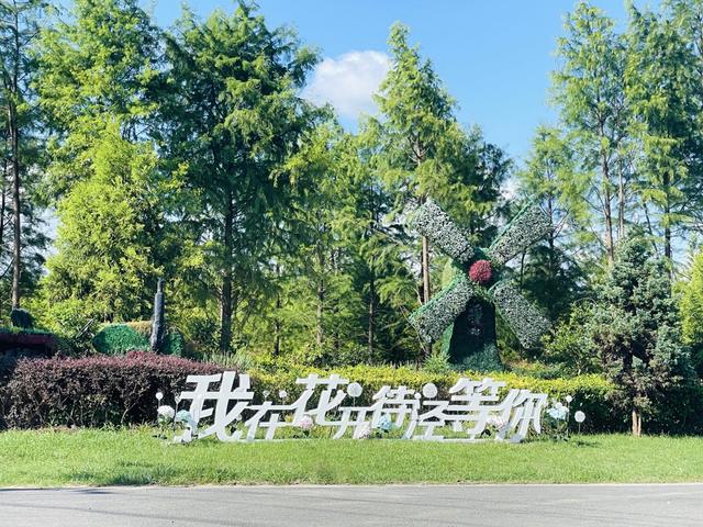 从 “穷村” 到 “网红村”，沪郊待泾村靠这些接住乐高乐园流量