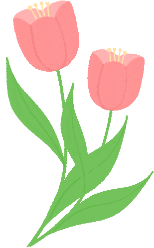 广州地区旅行社行业协会为贵州省黔南州贵定县推出精品旅游线路