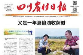 又是一年夏粮油收获时图片