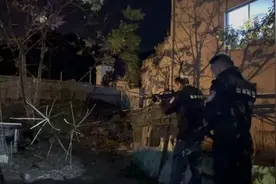 野猪夜闯农户家中觅食，杭州警方确认：已当场击毙图片