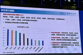 我国多领域算力应用项目超1.3万个，算力芯片生态“碎片化”仍是挑战图片