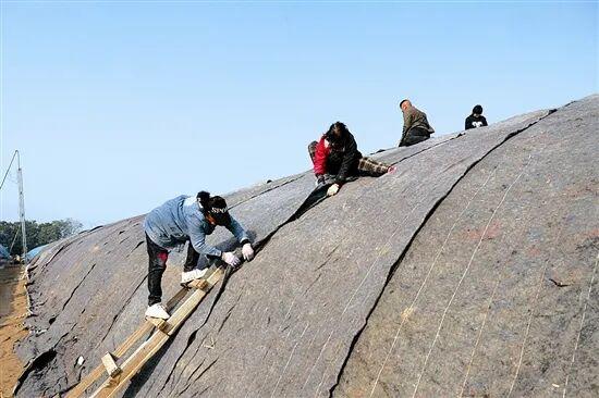 光影中的三门峡（543）