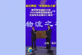 临沂蝉联“中国物流之都”图片