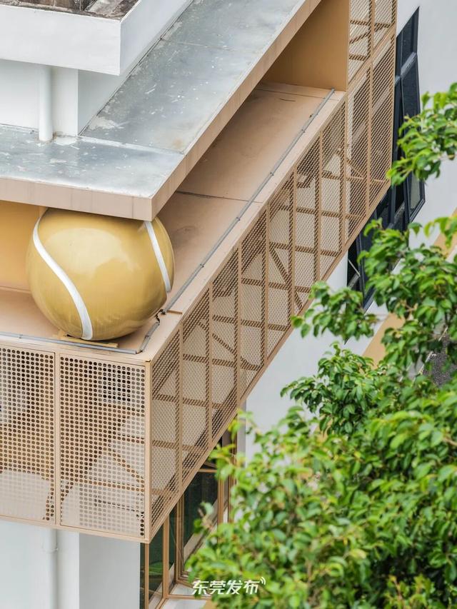 种草了！东莞这些「超美运动场」，现在就想去！