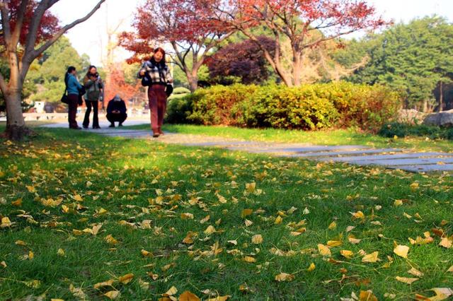 江苏苏州：桐泾公园斑斓冬景引客来