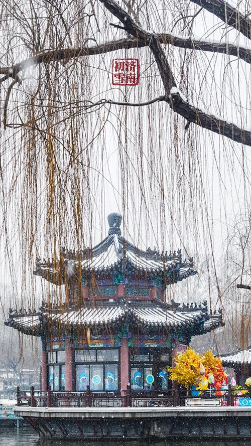 一年四季 泉在济南 |因泉而兴，因水而灵！济南这座城，是山东私藏的“后花园”
