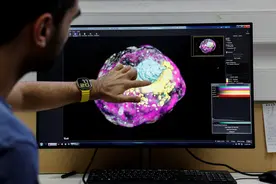 英媒：科学家用干细胞合成人类胚胎模型图片