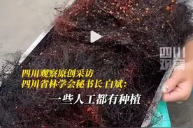 猛！成都路边摊烧烤开始流行“吃头发”了？图片